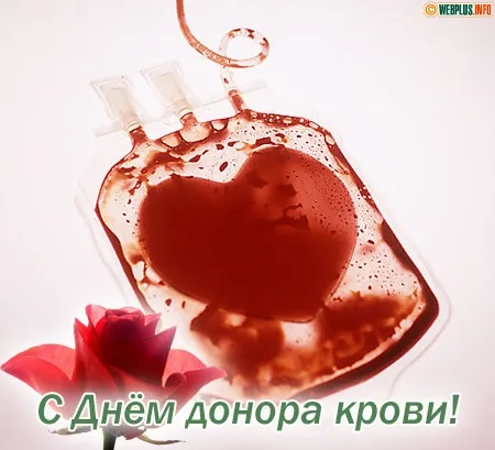 Открытка С всемирным днем донора крови - Открытка с Днем донора крови: Красная роза и мешок | Красивая открытка #30