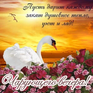 Открытка Хорошего вечера - Открытка с лебедем на закате | Красивая открытка #1