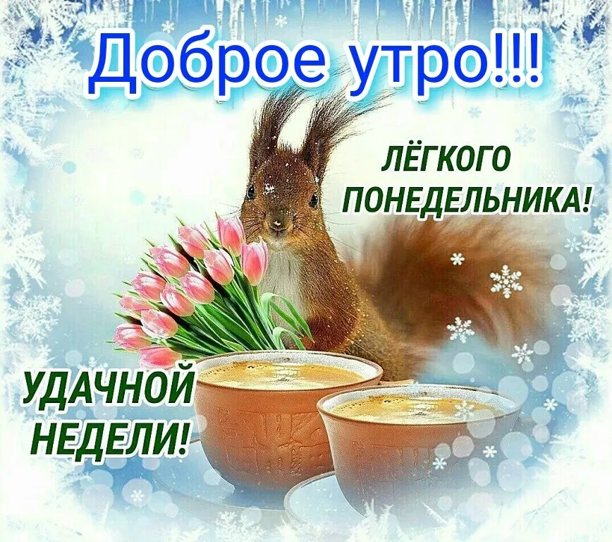 Открытка Доброе утро понедельник - Белка с чаем и цветами: праздничная открытка | Красивая открытка #5