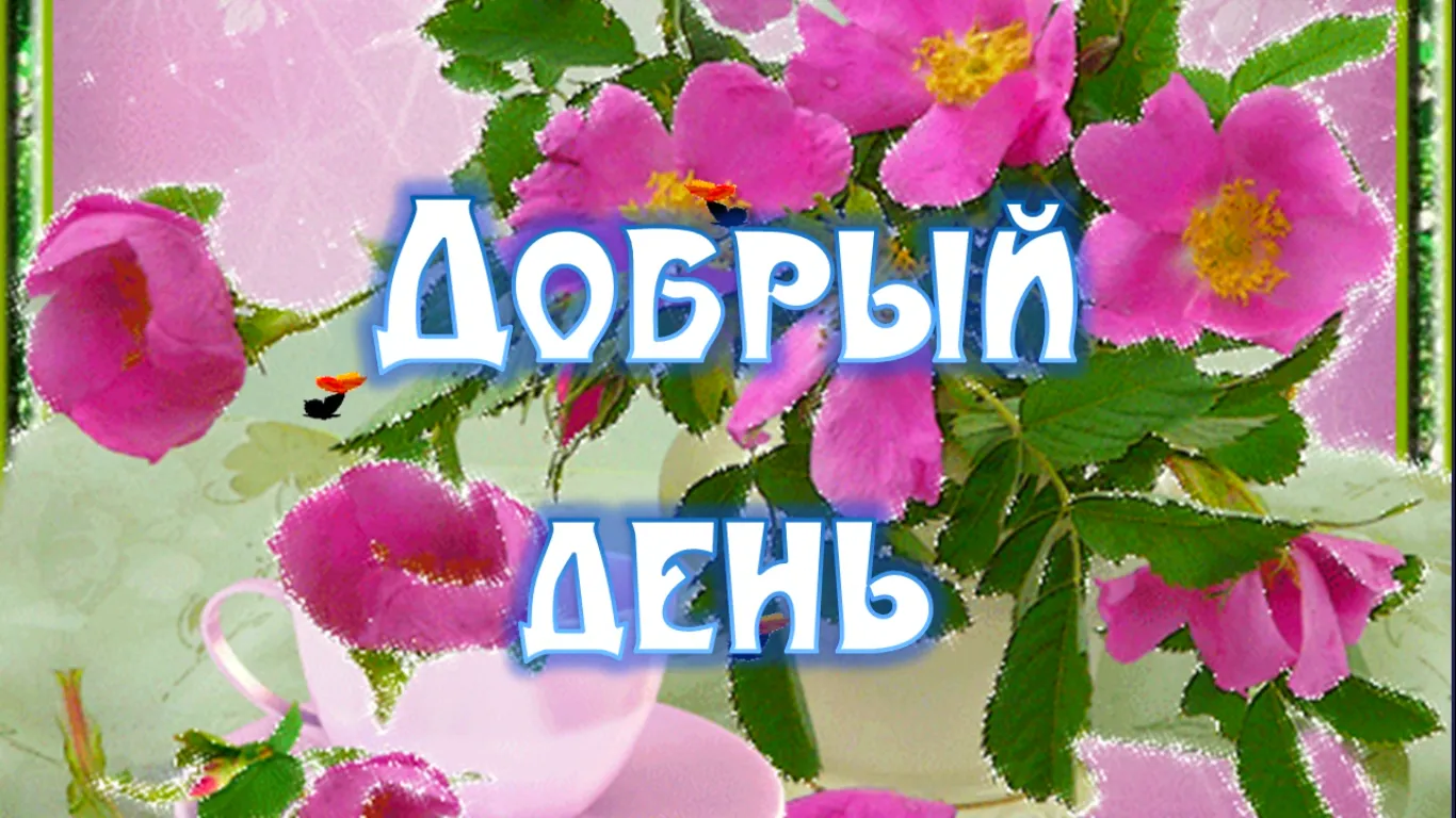 Открытка добрый день - Открытка с розовыми розами | Красивая открытка #69