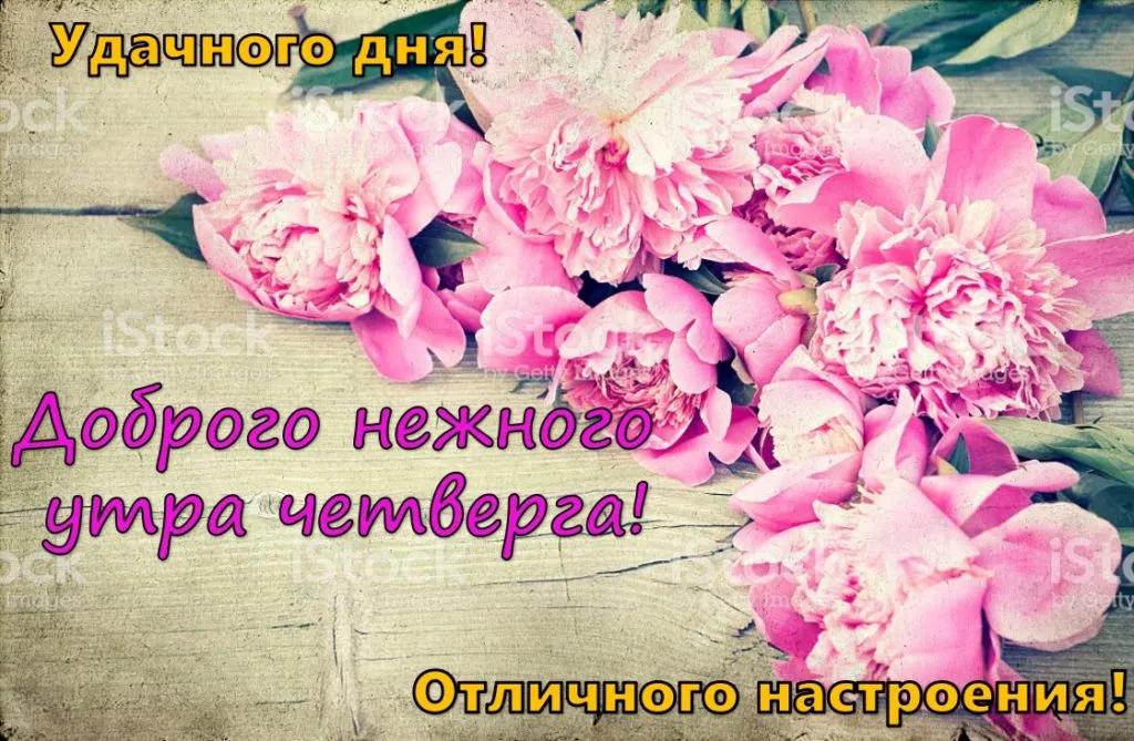 Открытка Открытки на четверг - Букет пионов на деревянном фоне | Красивая открытка #78