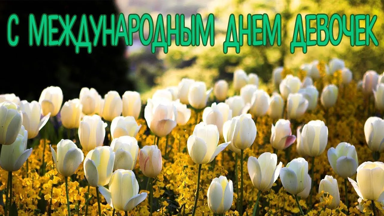 Открытка С Международным днём девочек - Поле тюльпанов: белые и желтые цветы | Красивая открытка #28