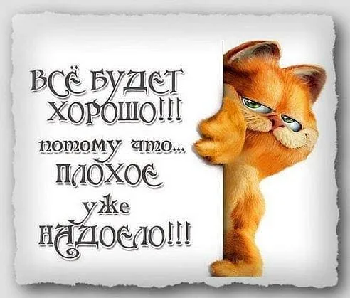 Открытка Открытки все будет хорошо - Забавная открытка с котом | Красивая открытка #43