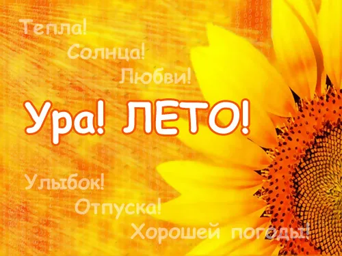 Открытка Про лето - Солнечная открытка: Подсолнух и летнее настроение | Красивая открытка #24
