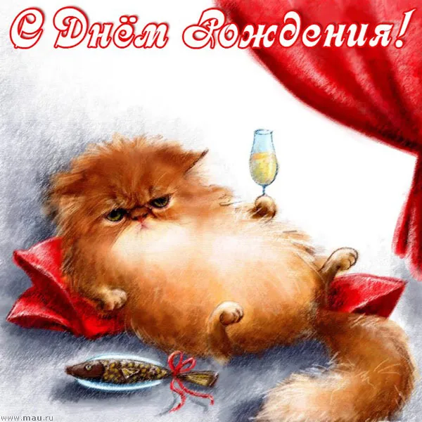 Открытка С кошками - Рыжий кот на открытке с рыбкой и вином | Красивая открытка #43