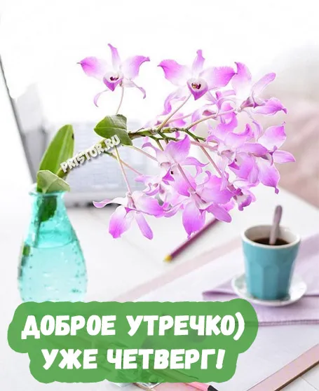 Открытка Открытки на четверг - Открытка с фиалкой в голубой вазе | Красивая открытка #178