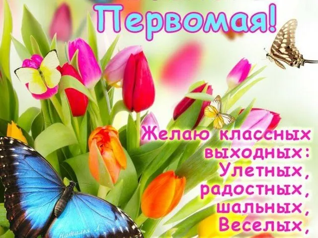 Открытка 1 мая - Открытка: Тюльпаны и бабочки - Весеннее настроение | Красивая открытка #213