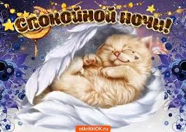 Открытка Спокойной ночи - Открытка с спящим котенком под одеялом | Красивая открытка #139