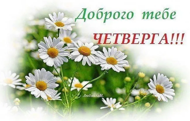 Открытка Открытки на четверг - Открытка с ромашками на зелени | Красивая открытка #10