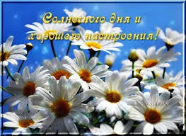 Открытка Хорошего лета - Открытка: Цветы на фоне голубого неба | Красивая открытка #35