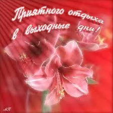 Открытка Открытки хороших выходных - Открытка с красным амариллисом | Красивая открытка #186