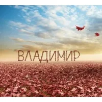 Открытка открытки с именем Владимир - Цветы сакуры на фоне неба  открытка | Красивая открытка #211