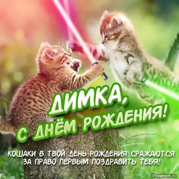 Открытка С кошками - Открытка с котятами: С Днём Рождения! | Красивая открытка #70