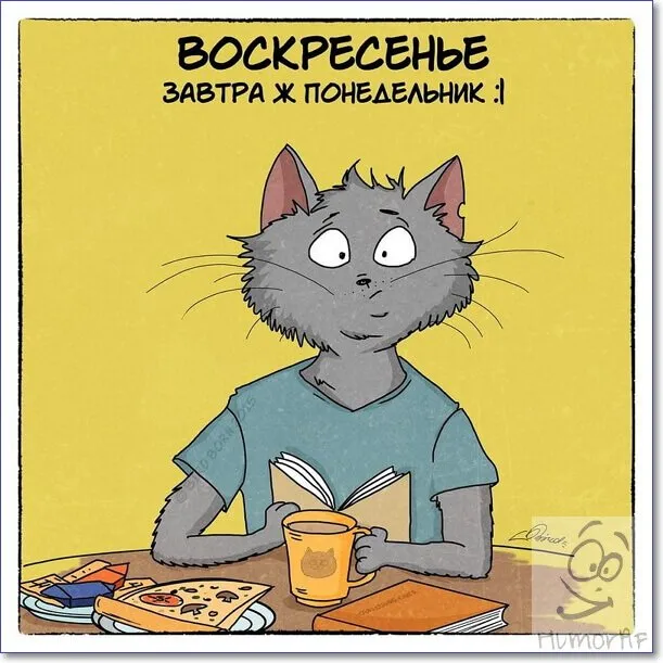 Открытка Открытки на воскресенье - Котенок с чаем: смешная открытка на День знаний | Красивая открытка #38