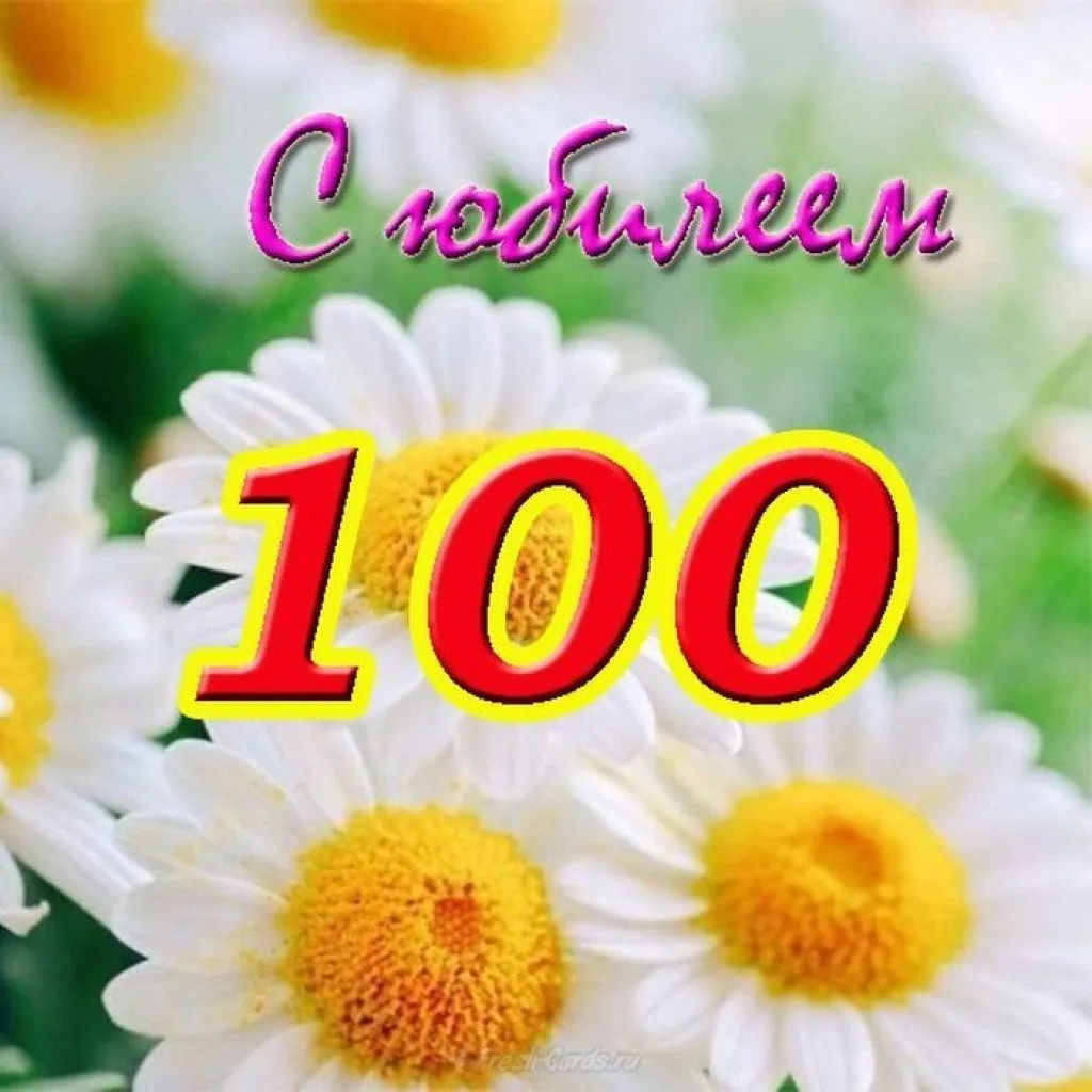 Открытка С юбилеем 100 лет - Открытка с ромашками: нежные цветы для тебя | Красивая открытка #9