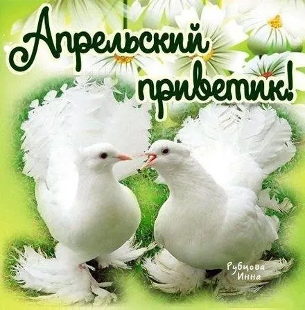 Открытка Апрельский - Открытка с голубями и цветами | Красивая открытка #5