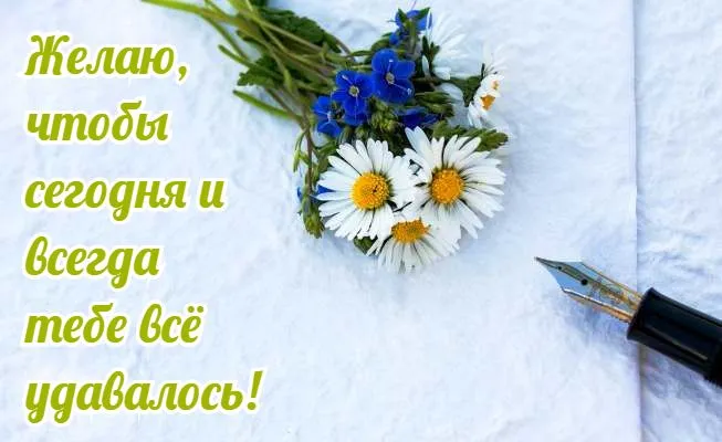 Открытка Удачного дня - Открытка с цветами: ромашки и васильки | Красивая открытка #22