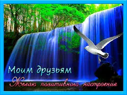 Открытка О дружбе - Открытка: Водопад и птица - Красивые пейзажи | Красивая открытка #57