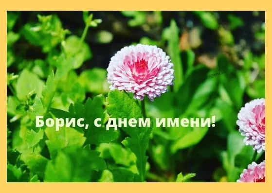 Открытка открытки с именем Борис - Открытка с цветами: день рождения от души | Красивая открытка #178