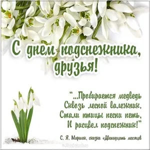 Открытка Открытки с днем подснежника - Подснежники: С Днем Рождения! Открытка с цветами | Красивая открытка #4