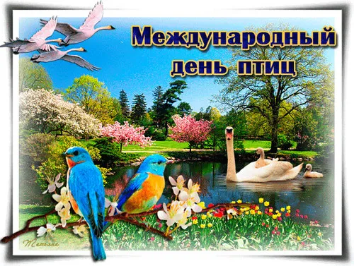 Открытка С днём птиц - Открытка с птицами и лебедями на фоне цветущего сада | Красивая открытка #6