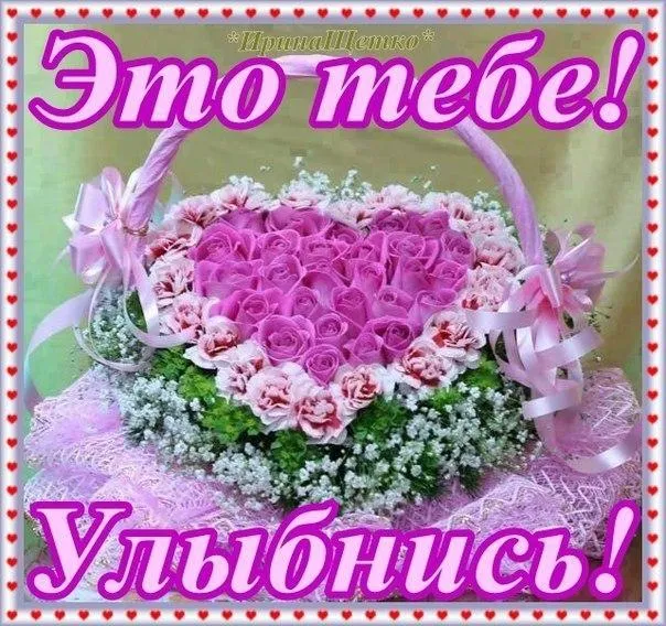 Открытка Открытки для тебя - Букет роз и зелени на розовой подушке | Красивая открытка #111