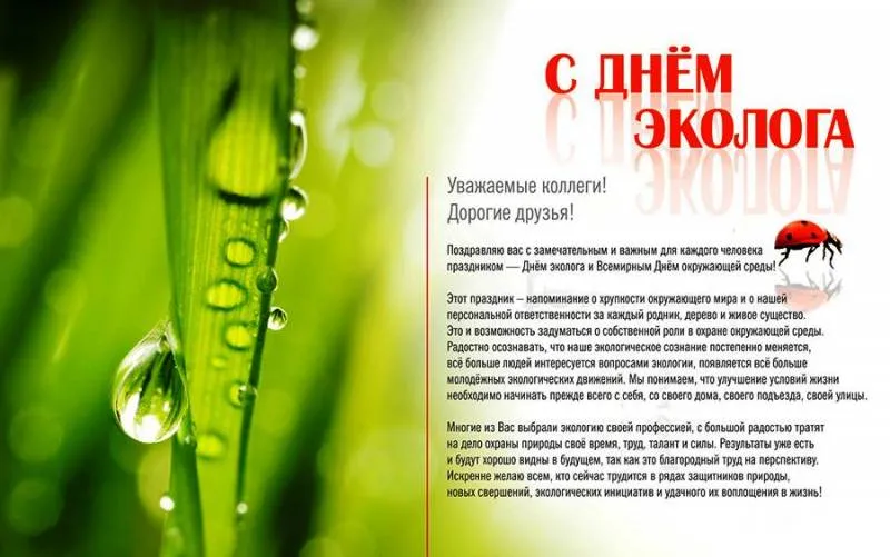 Открытка День эколога - Открытка "С Днем Эколога": природа, капли росы, жучок | Красивая открытка #2