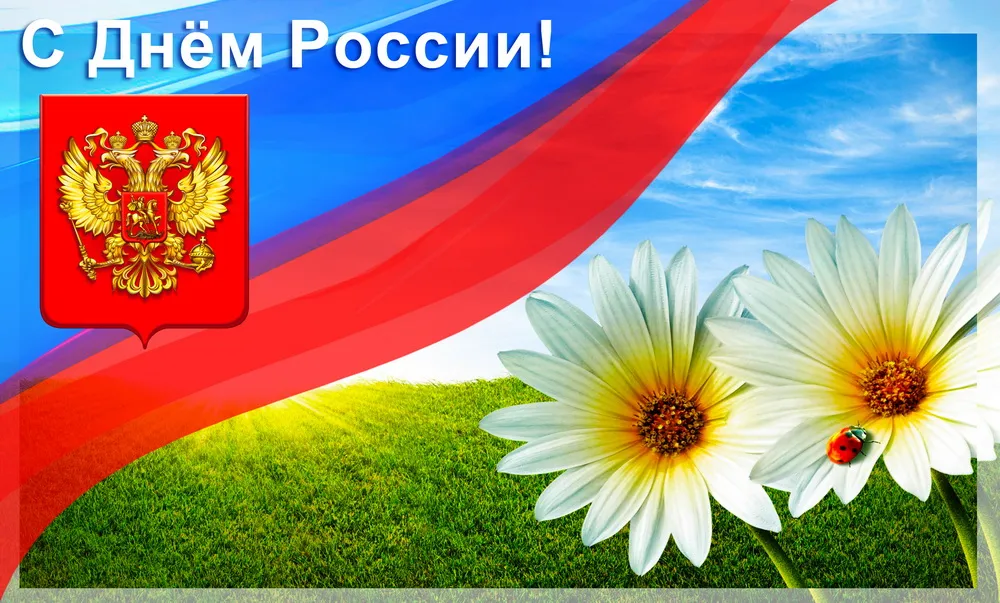 Открытка День России - Открытка: Ромашка, герб России, травяной фон | Красивая открытка #167