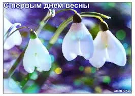Открытка Открытки с первым днем весны - Открытка с подснежниками: нежные цветы весны | Красивая открытка #59