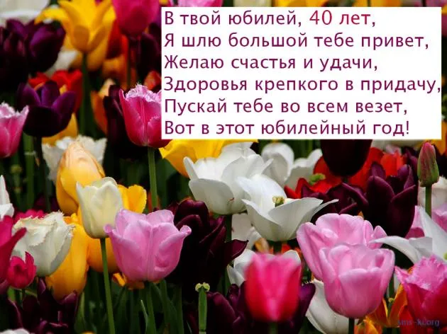 Открытка Открытки на 40 лет - Открытка с тюльпанами: С Днем Рождения! | Красивая открытка #79