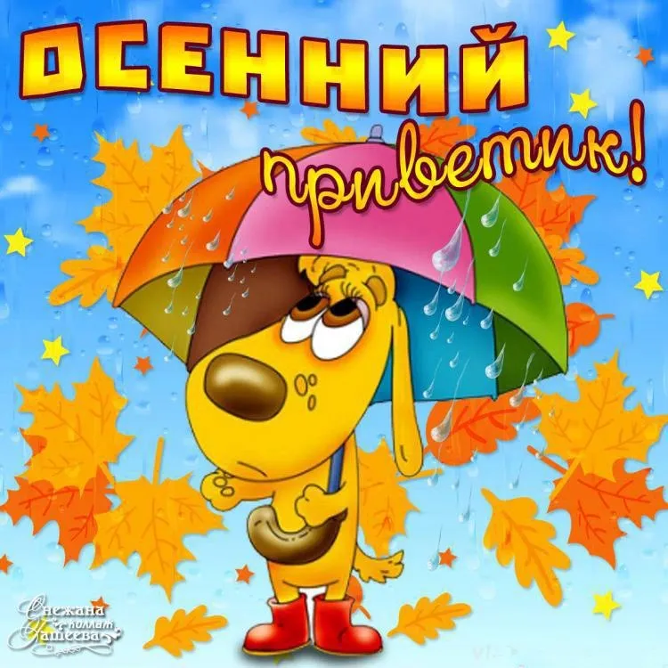 Открытка осенний привет - Собака под дождем - открытка | Красивая открытка #21