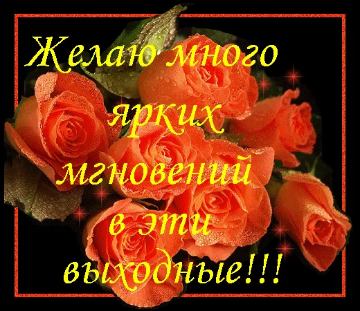 Открытка Открытки хороших выходных - Букет алых роз на открытке | Красивая открытка #155