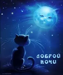 Открытка Открытки с пожеланиями на ночь - Котенок и луна: Открытка с добрым вечером | Красивая открытка #174