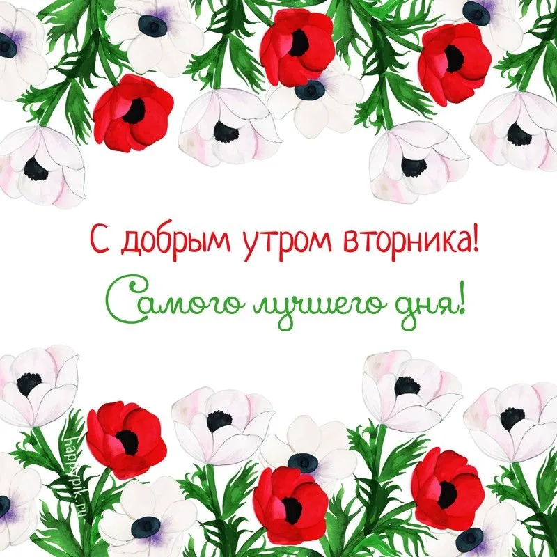 Открытка Доброе утро вторник - С Днём! С Днём! С Днём! | Красивая открытка #16