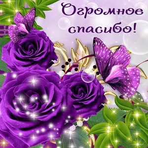 Открытка Спасибо - Открытка с фиолетовыми розами и бабочками | Красивая открытка #91