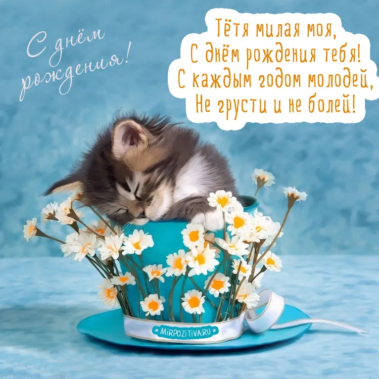 Открытка С днем рождения для тети - Котенок в чашке цветов: Открытка с днем рождения | Красивая открытка #13