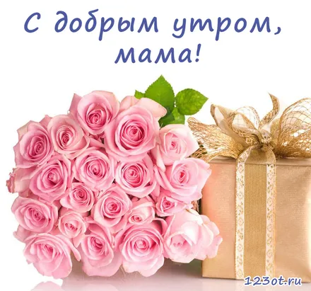 Открытка С розовыми розами - Букет розовых роз и подарок | Красивая открытка #50