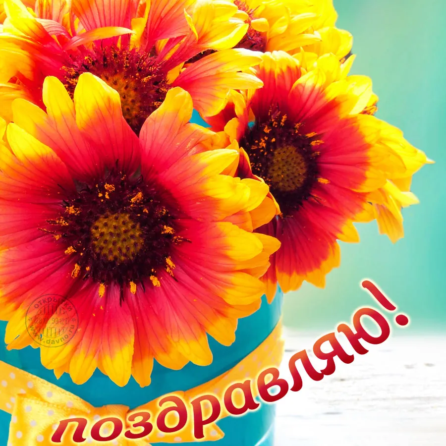 Открытка Открытки поздравляю - Яркие цветы на открытке: поздравление | Красивая открытка #24
