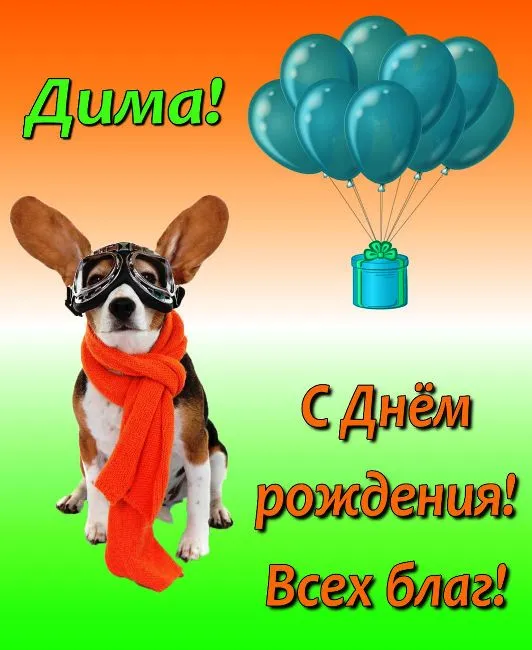 Открытка открытки с именем Дмитрий  - Открытка с щенком на День рождения! | Красивая открытка #120