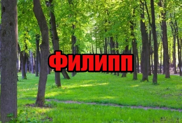 Открытка Открытки с именем Филлип - Открытка с деревьями и зеленью | Красивая открытка #61