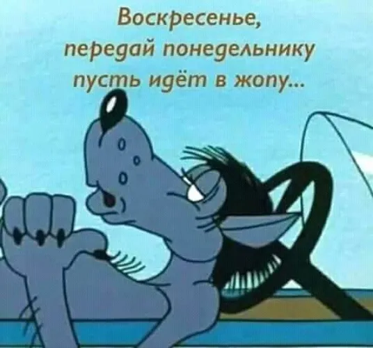 Открытка Открытки на воскресенье - Мультяшный кот отдыхает | Красивая открытка #106
