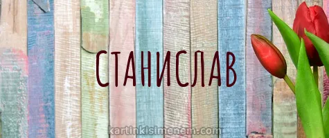 Открытка Открытки с именем Станислав  - Открытка с тюльпанами и надписью "Станислав" | Красивая открытка #237