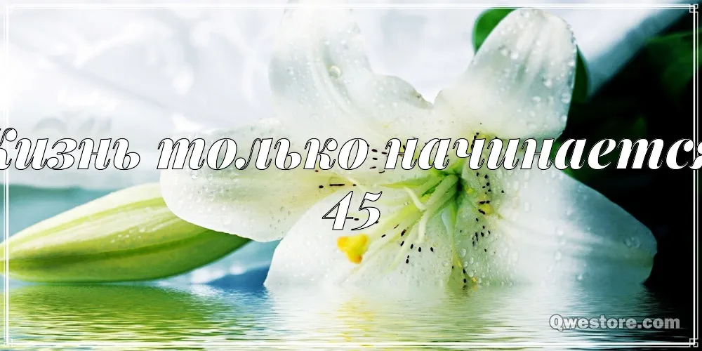 Открытка Открытки на 45 лет - Лилии: нежные цветы на открытке | Красивая открытка #60