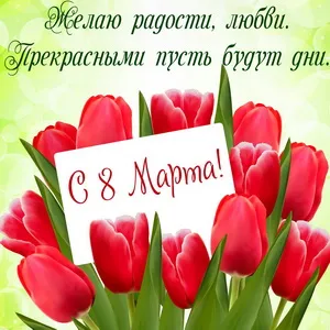 Открытка 8 матра - Открытка с красными тюльпанами | Красивая открытка #23