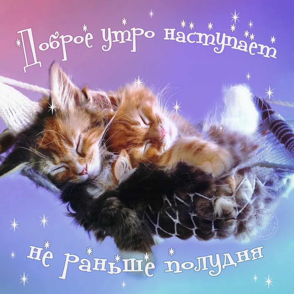 Открытка открытки с добрым утром - Две кошки обнимаются на фоне звездного неба. Открытка с котиками. | Красивая открытка #109