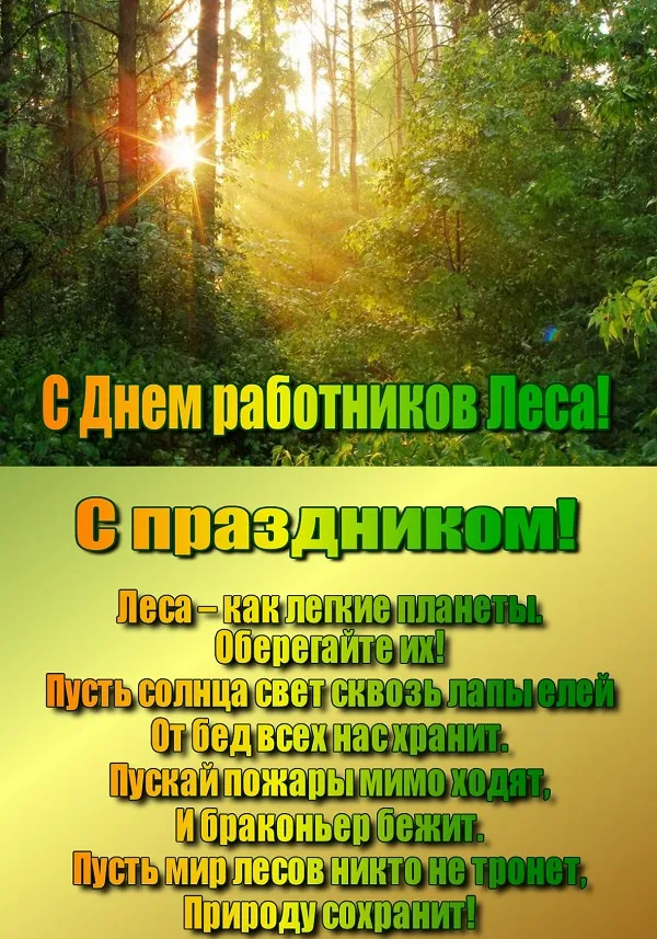Открытка С днём работника леса - С Днем Лесника! Открытка с природой | Красивая открытка #41