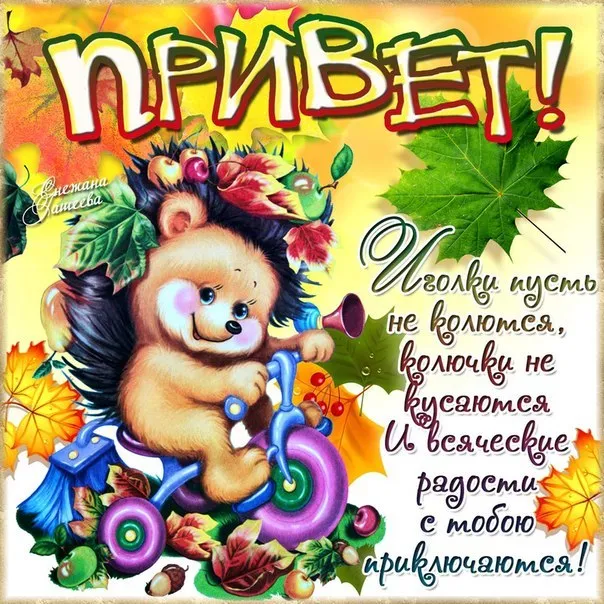 Открытка Привет - Открытка с ежом и осенними листьями | Красивая открытка #315