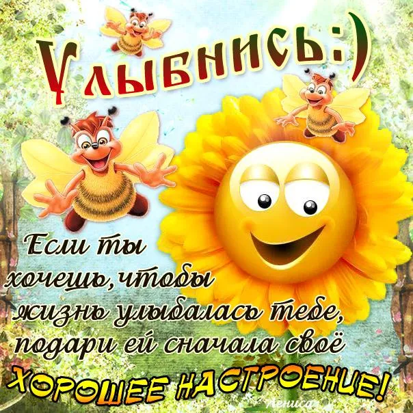 Открытка Улыбнись - Яркая открытка с пчелкой и подсолнухом | Красивая открытка #143