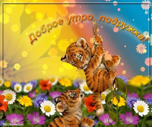 Открытка Открытки доброе утро подруга - Тигра с цветами: открытка с добрым утром!  prosto.ru | Красивая открытка #18