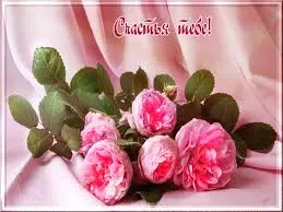 Открытка Открытки желаю счастья - Букет розовых роз на нежно-розовом фоне | Красивая открытка #49